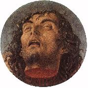 BELLINI, Giovanni Head of the Baptist 223 oil on canvas